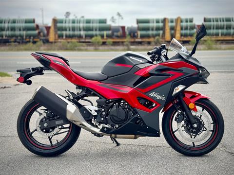 2024 Kawasaki Ninja 500 ABS in Panama City, Florida - Photo 1