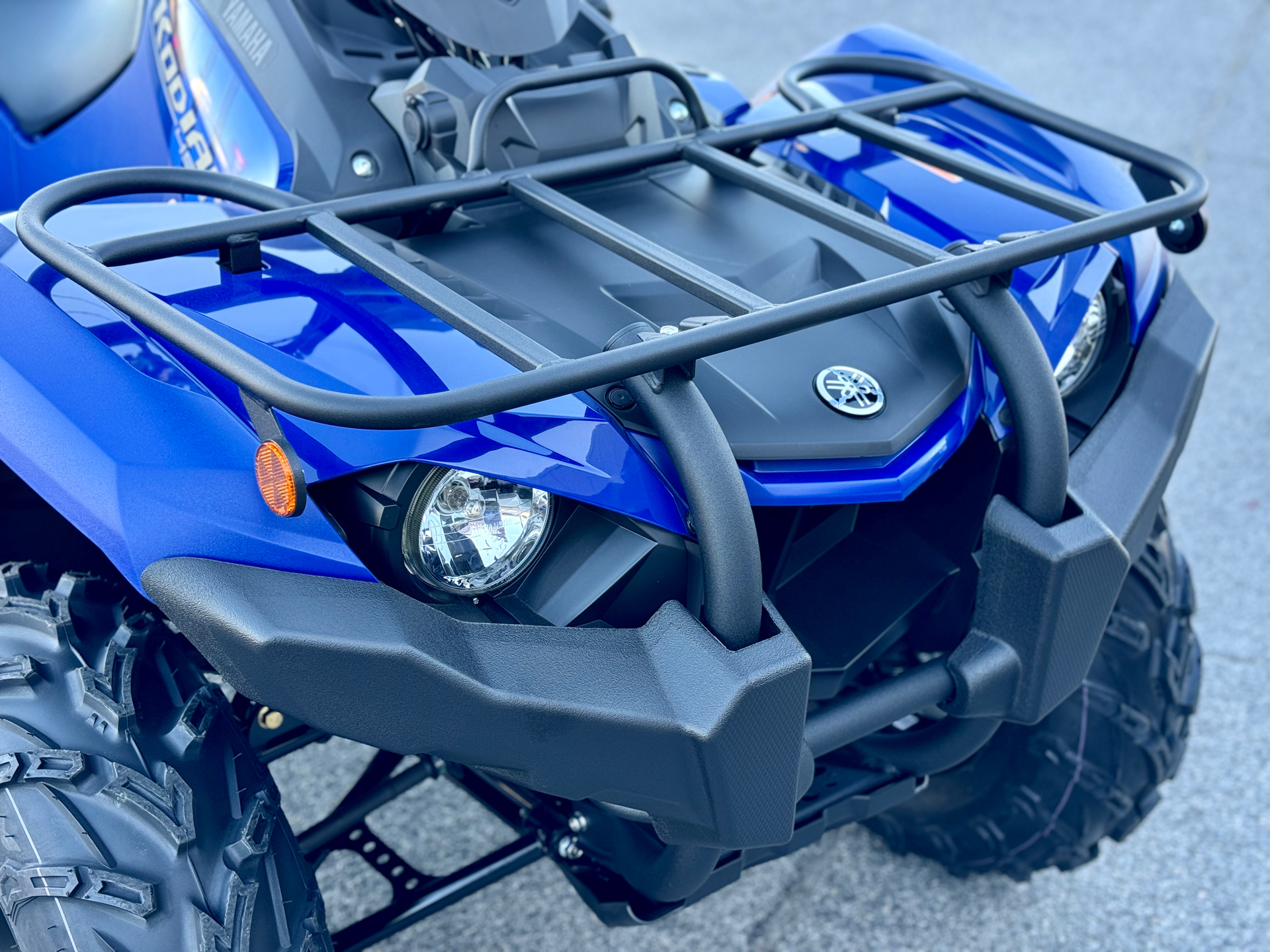 2025 Yamaha Kodiak 450 in Panama City, Florida - Photo 4