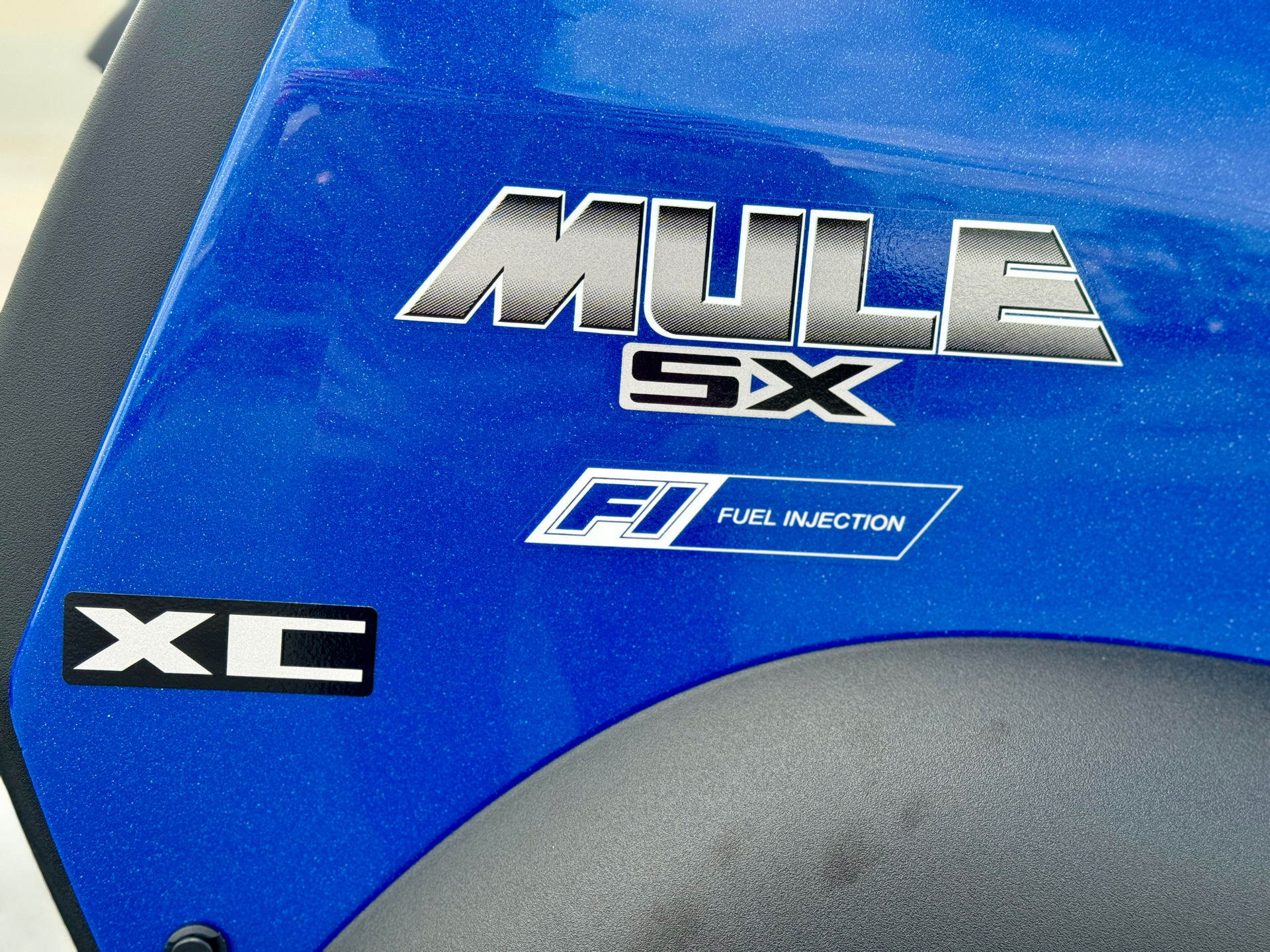 2025 Kawasaki MULE SX 4x4 XC in Panama City, Florida - Photo 6