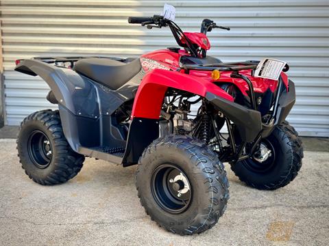 2025 Yamaha Grizzly 110 in Panama City, Florida - Photo 1