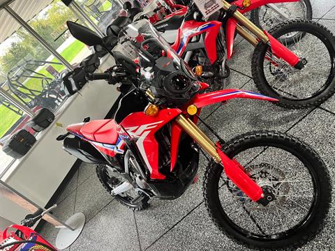 2024 Honda CRF300L Rally in Ottawa, Ohio - Photo 2