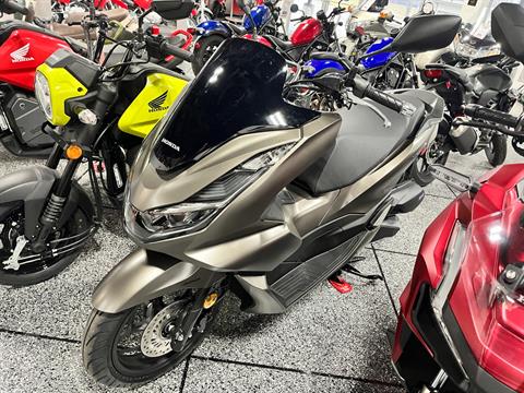 2023 Honda PCX in Ottawa, Ohio - Photo 1