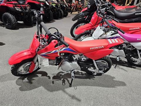 2024 Honda CRF50F in Crossville, Tennessee - Photo 2