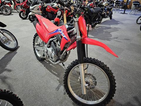 2024 Honda CRF250F in Crossville, Tennessee - Photo 1