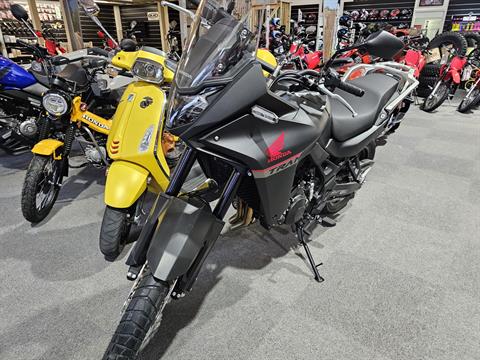 2024 Honda Transalp in Crossville, Tennessee - Photo 2