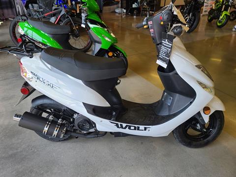 2022 Wolf Brand Scooters RX-50 in Clinton, Tennessee - Photo 1