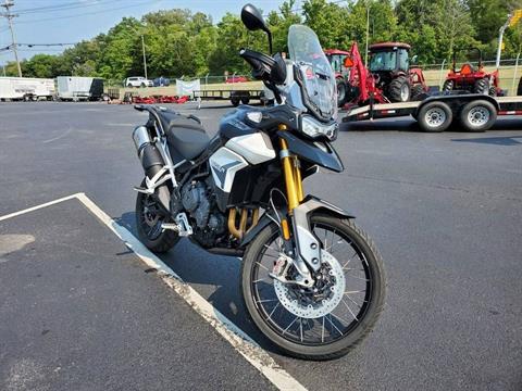 2021 Triumph Tiger 900 Rally in Clinton, Tennessee - Photo 2