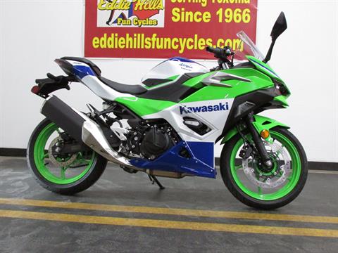 2024 Kawasaki Ninja 500 SE 40th Anniversary Edition ABS in Wichita Falls, Texas - Photo 1