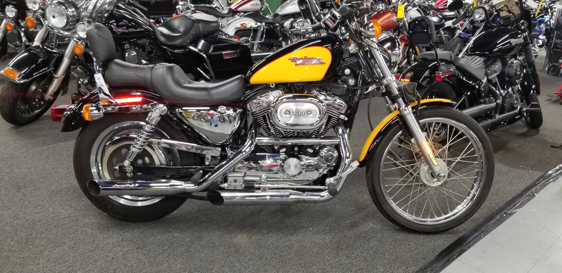 2001 Harley-Davidson XL 1200C Sportster® 1200 Custom in Oakdale, New York - Photo 2