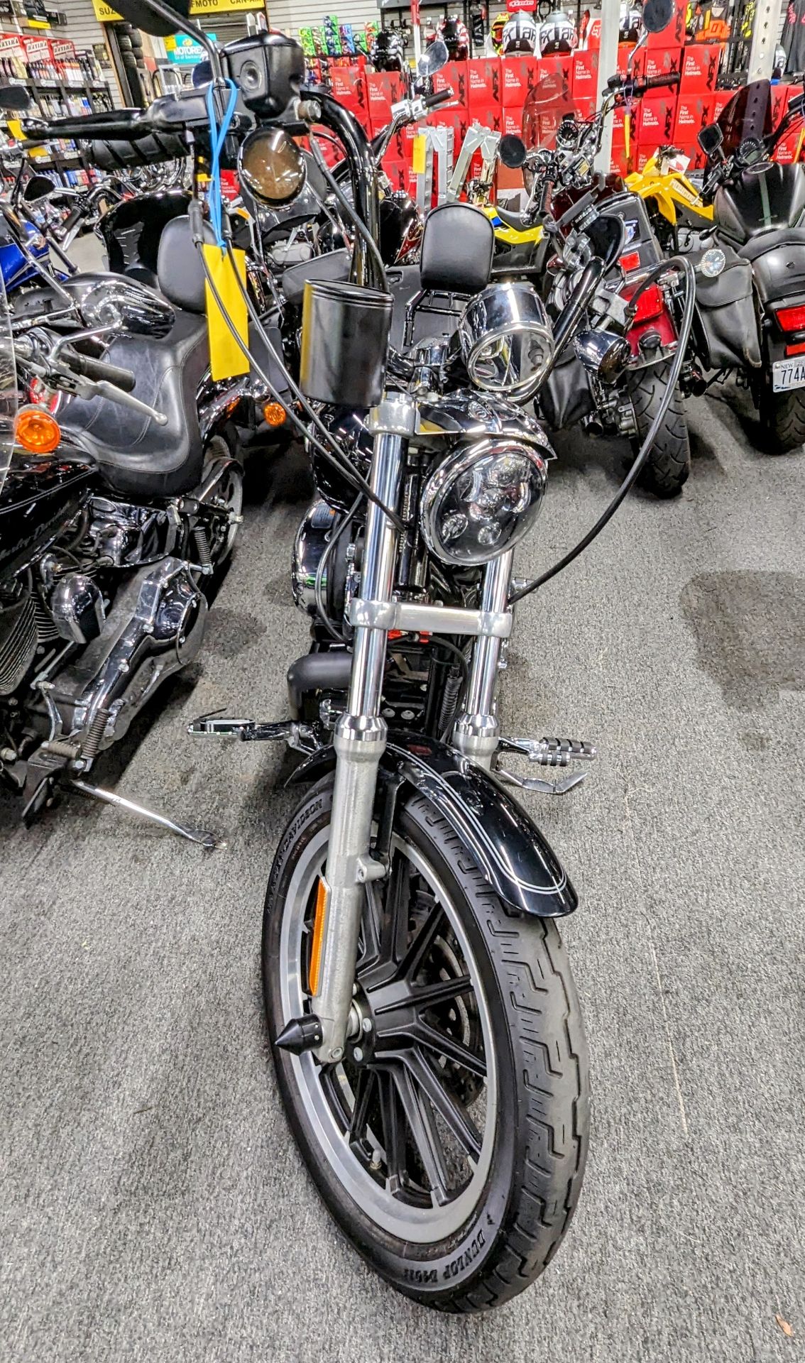 2008 Harley-Davidson Sportster® 1200 Custom in Oakdale, New York - Photo 4