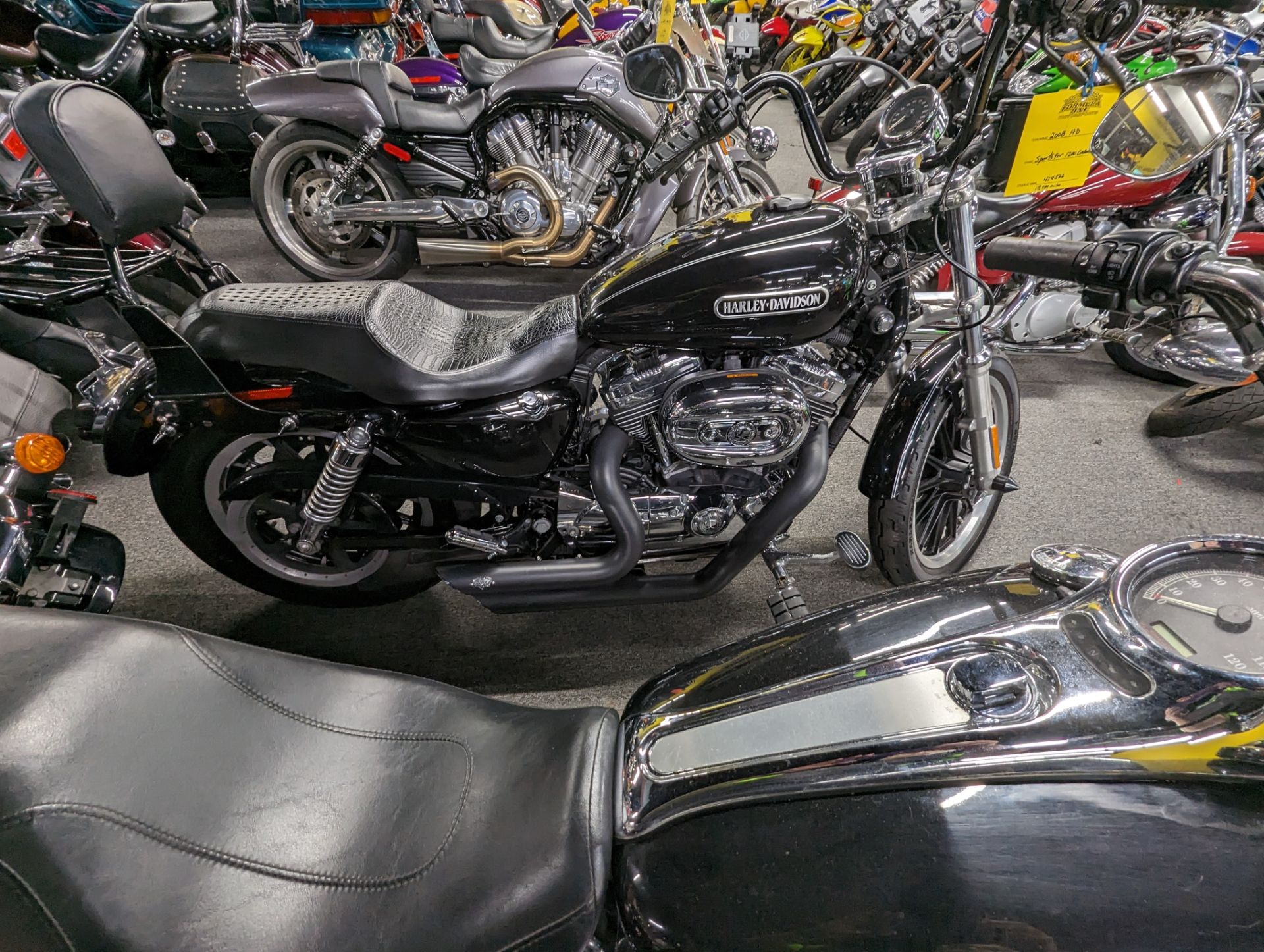 2008 Harley-Davidson Sportster® 1200 Custom in Oakdale, New York - Photo 3