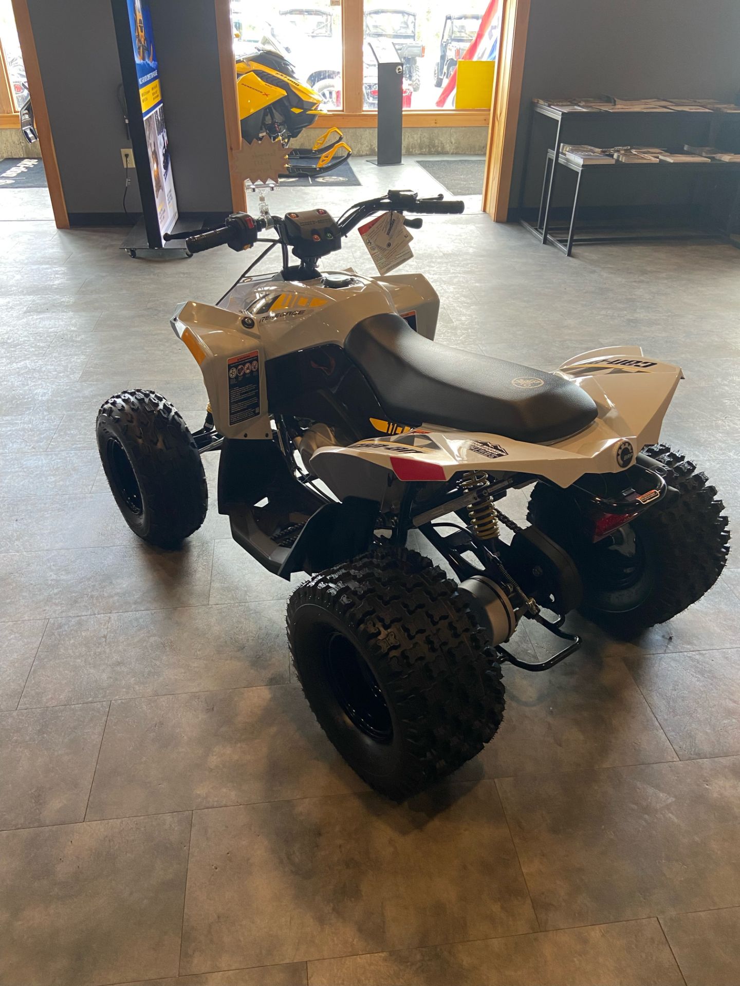 2023 Can-Am Renegade 110 EFI in Lancaster, New Hampshire - Photo 3