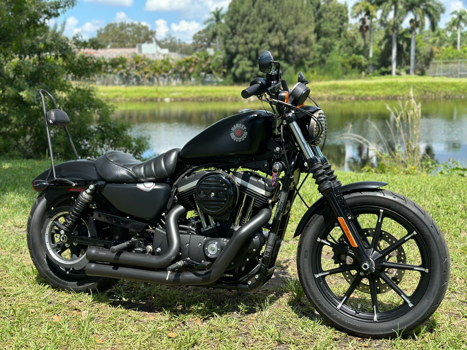 2019 Harley-Davidson Iron 883™ in North Miami Beach, Florida - Photo 1