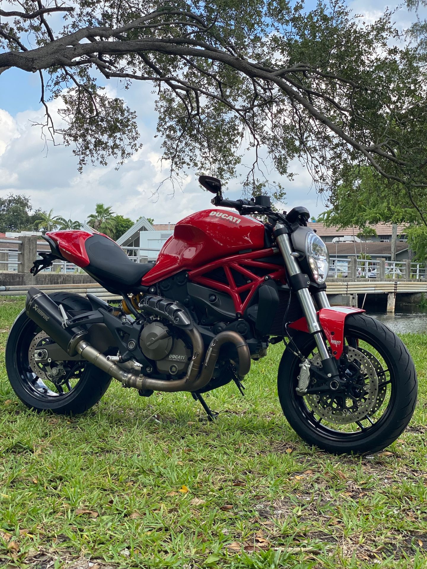 2015 Ducati Monster 821 in North Miami Beach, Florida - Photo 5