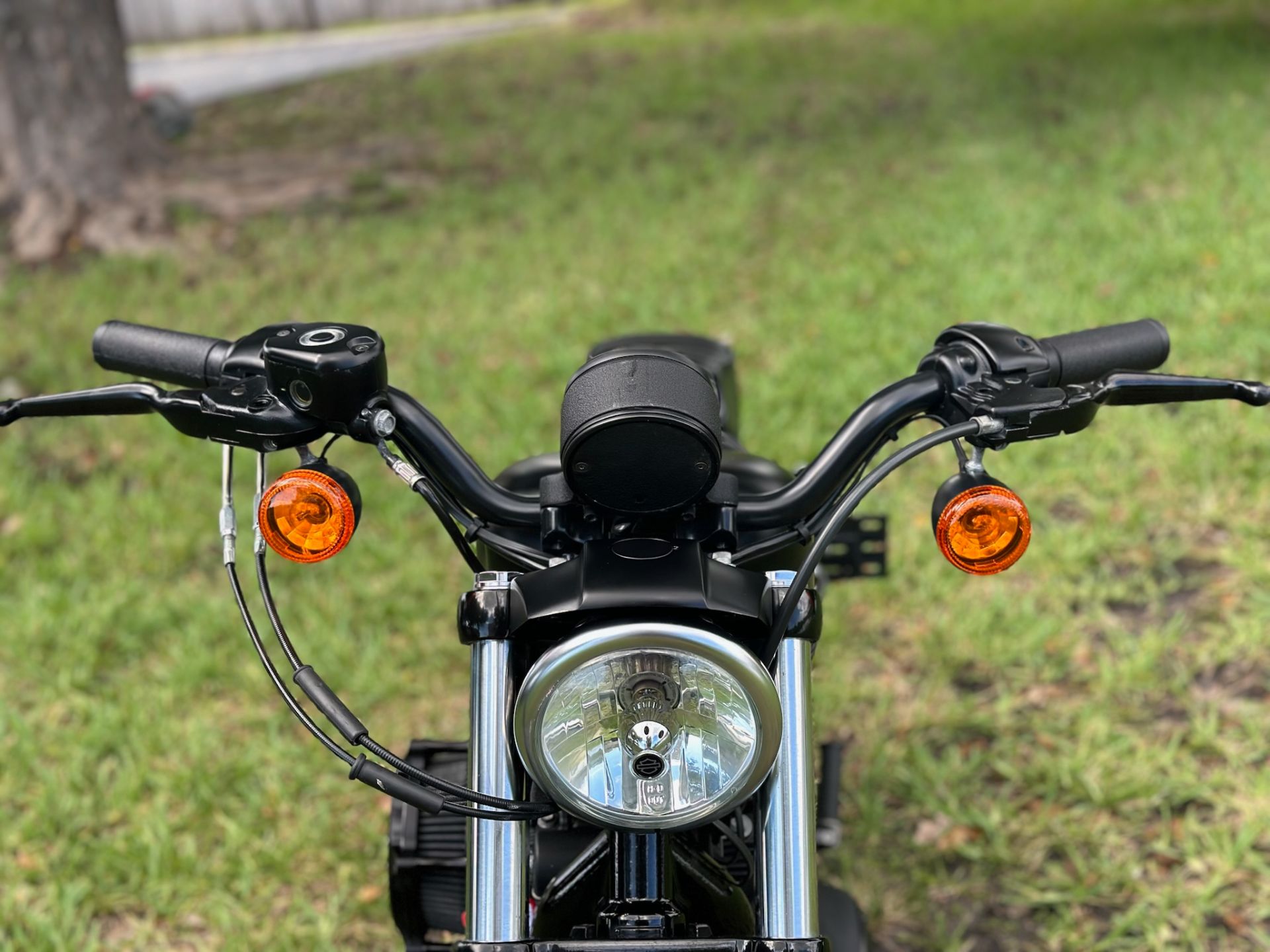 2020 Harley-Davidson Iron 883™ in North Miami Beach, Florida - Photo 8