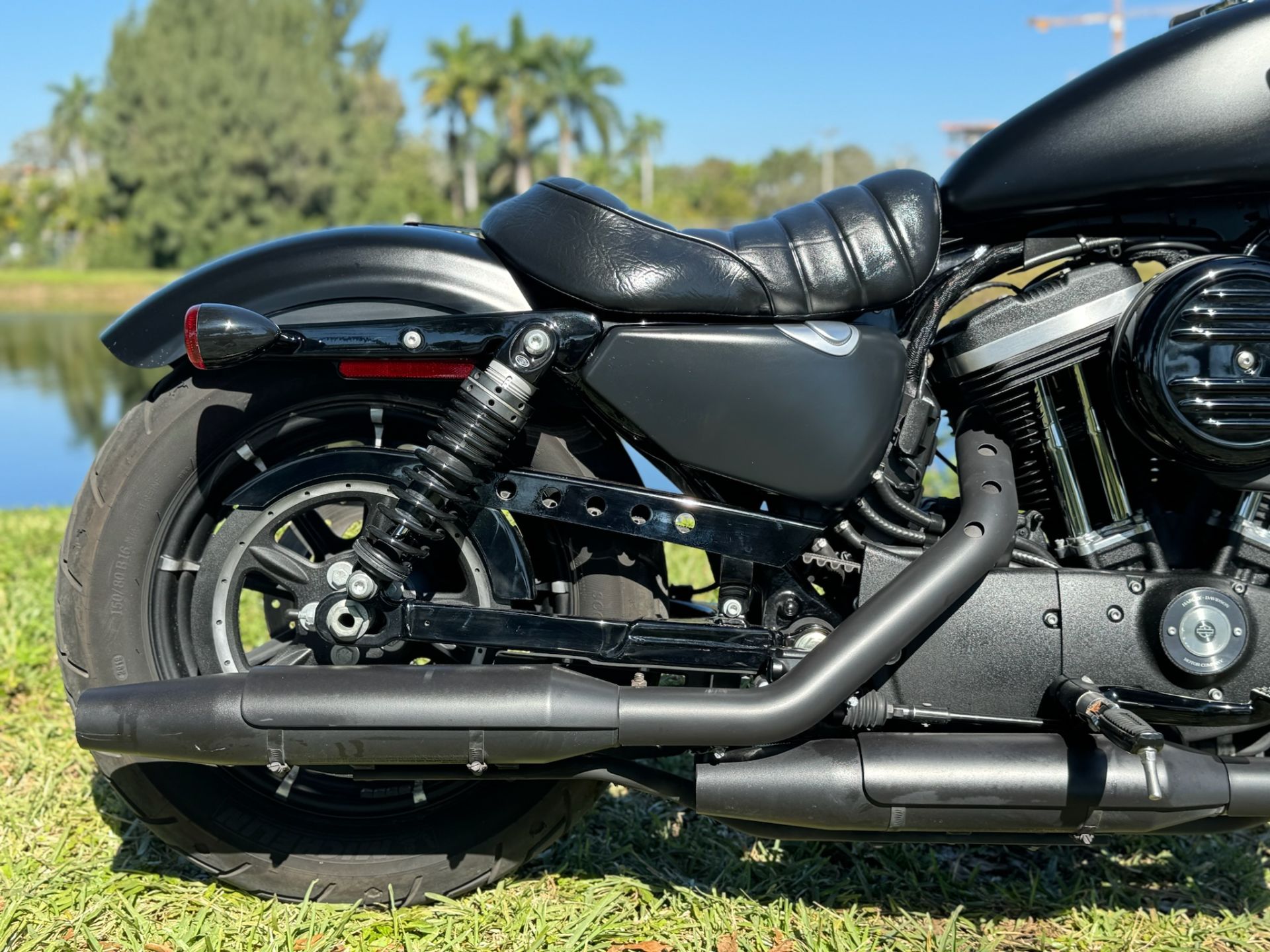 2020 Harley-Davidson Iron 883™ in North Miami Beach, Florida - Photo 5