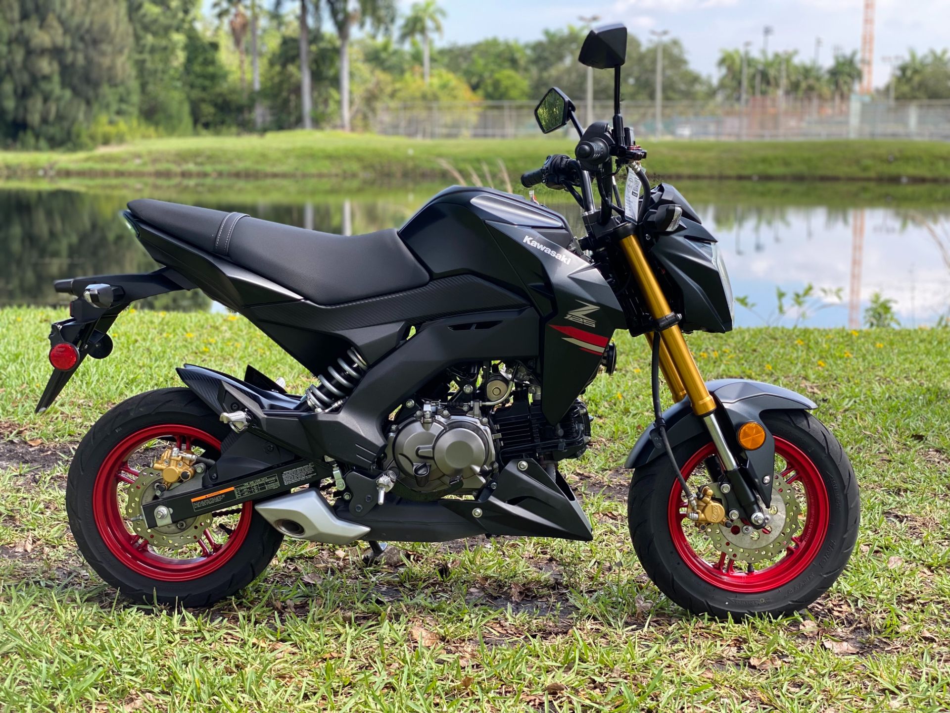 2022 Kawasaki Z125 Pro in North Miami Beach, Florida - Photo 2
