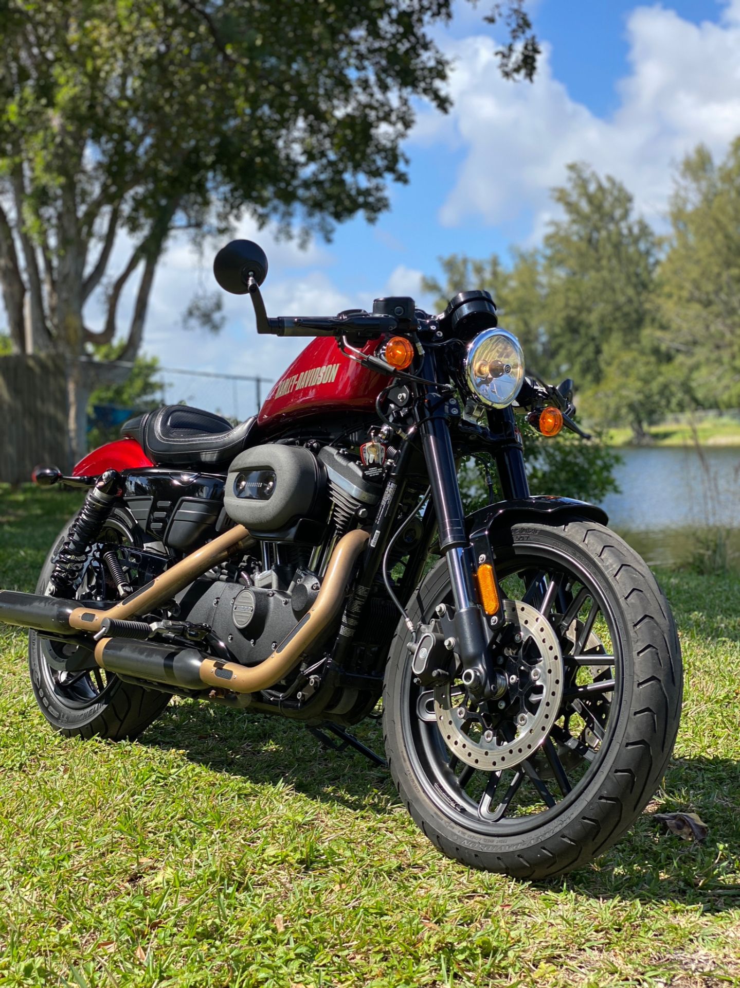 2017 Harley-Davidson Roadster™ in North Miami Beach, Florida - Photo 2