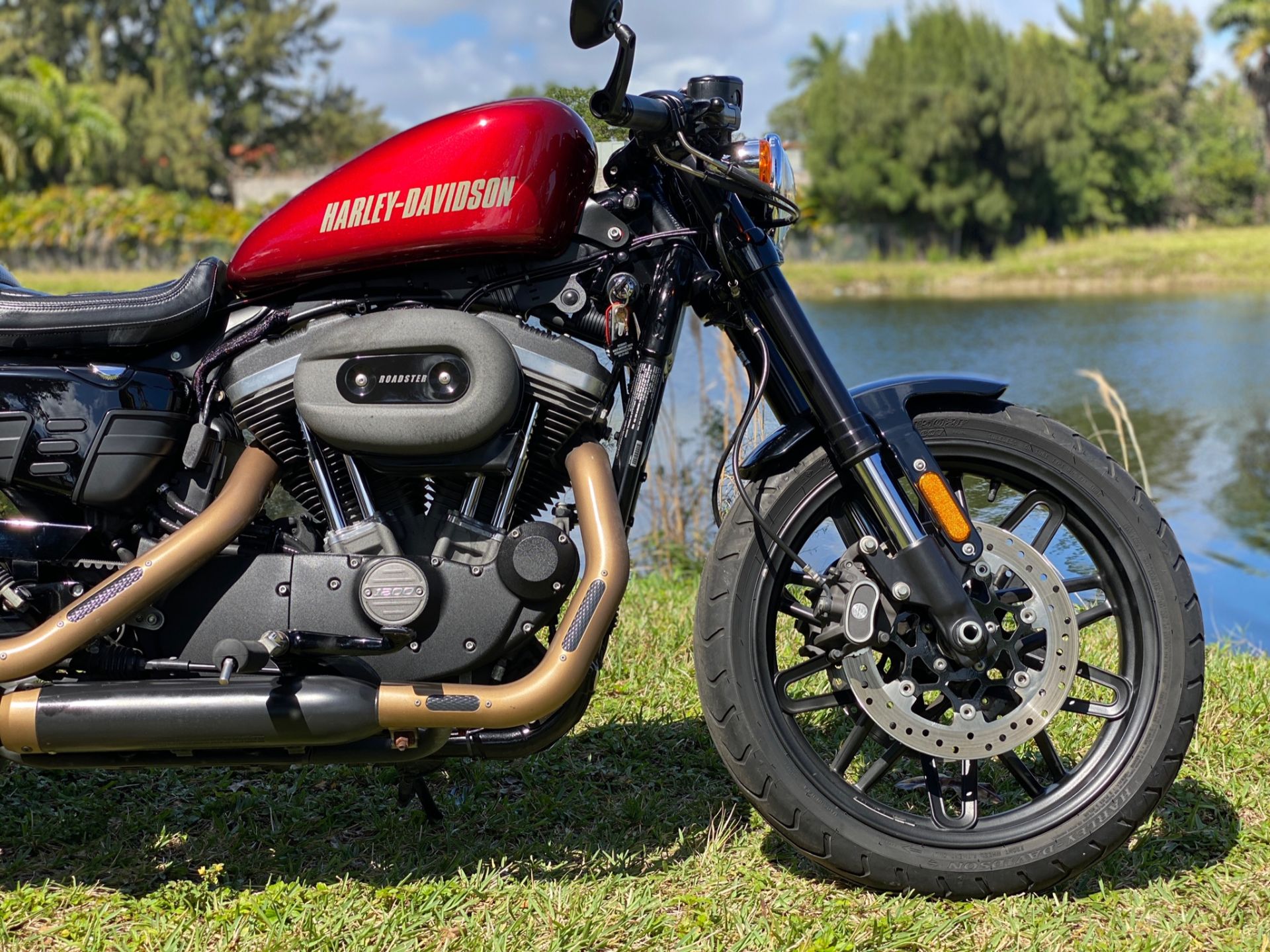 2017 Harley-Davidson Roadster™ in North Miami Beach, Florida - Photo 6