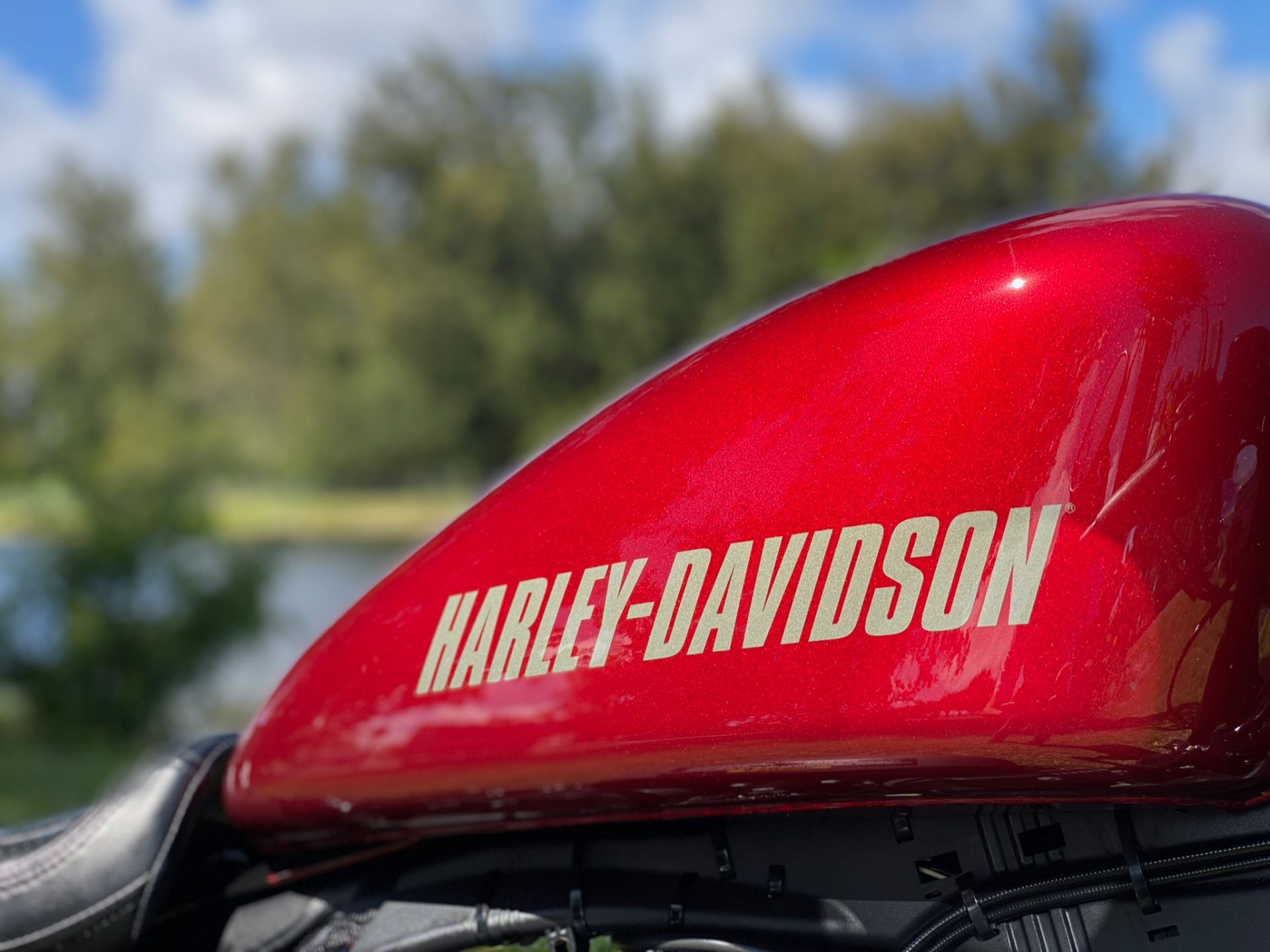 2017 Harley-Davidson Roadster™ in North Miami Beach, Florida - Photo 7