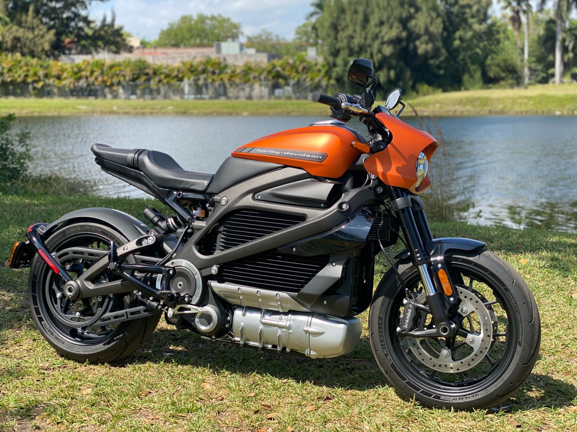 2020 Harley-Davidson Livewire™ in North Miami Beach, Florida - Photo 1