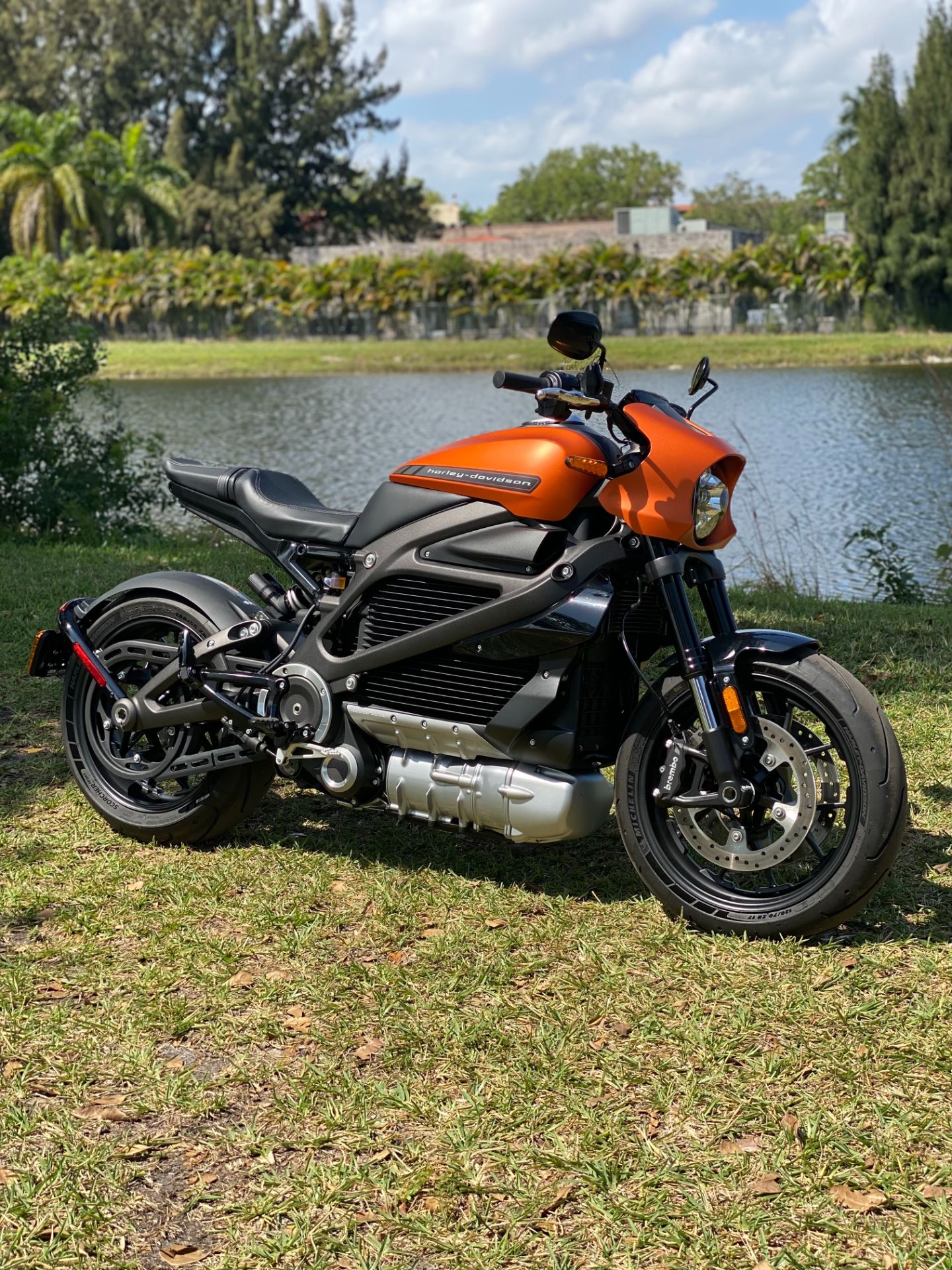 2020 Harley-Davidson Livewire™ in North Miami Beach, Florida - Photo 2