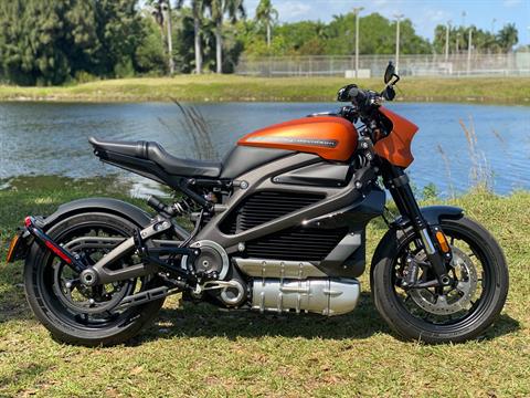2020 Harley-Davidson Livewire™ in North Miami Beach, Florida - Photo 3