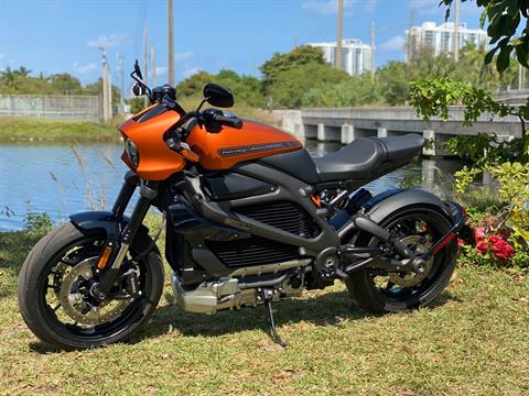 2020 Harley-Davidson Livewire™ in North Miami Beach, Florida - Photo 13