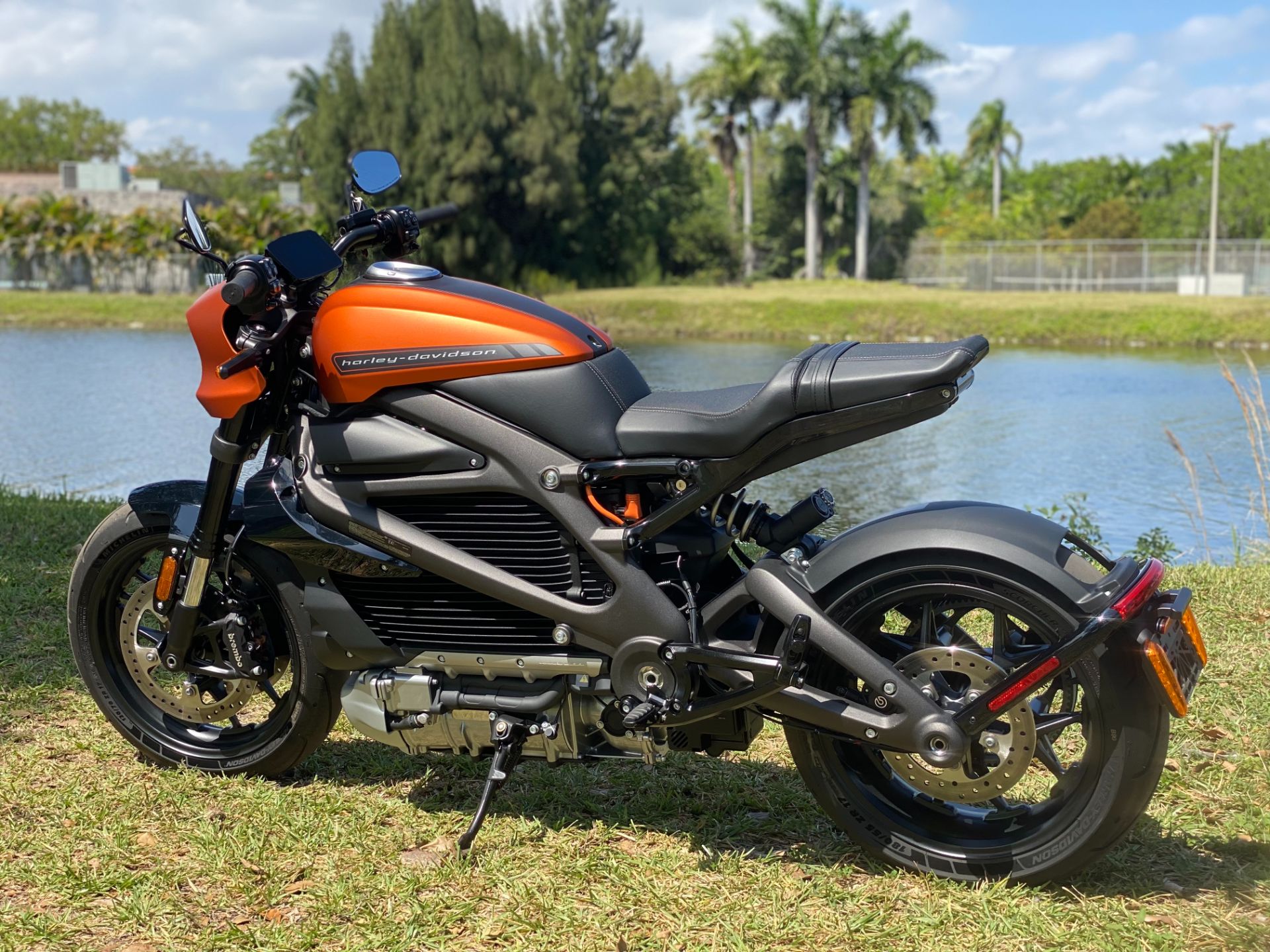 2020 Harley-Davidson Livewire™ in North Miami Beach, Florida - Photo 15