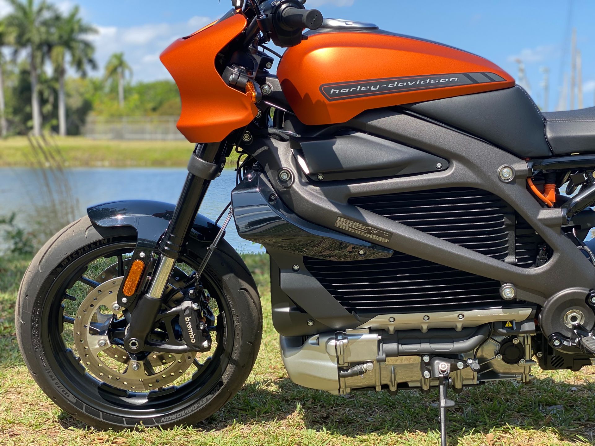 2020 Harley-Davidson Livewire™ in North Miami Beach, Florida - Photo 16