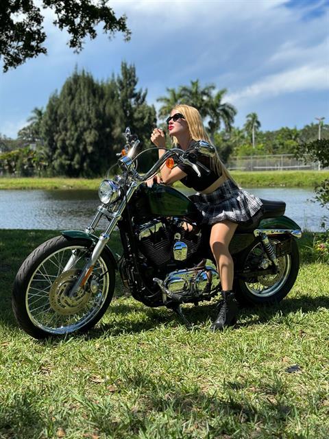 2013 Harley-Davidson Sportster® Seventy-Two® in North Miami Beach, Florida - Photo 19