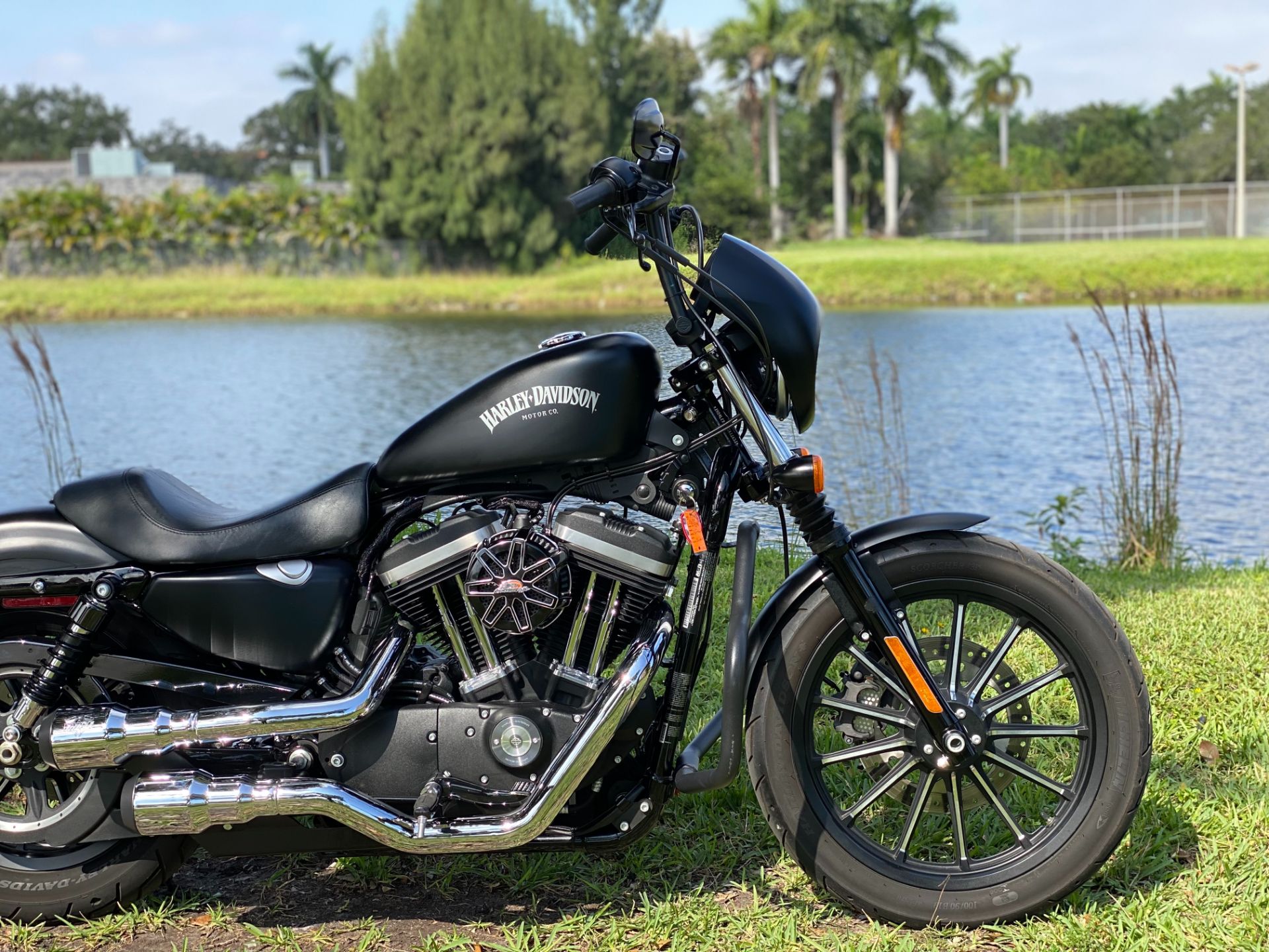 2014 Harley-Davidson Sportster® Iron 883™ in North Miami Beach, Florida - Photo 6