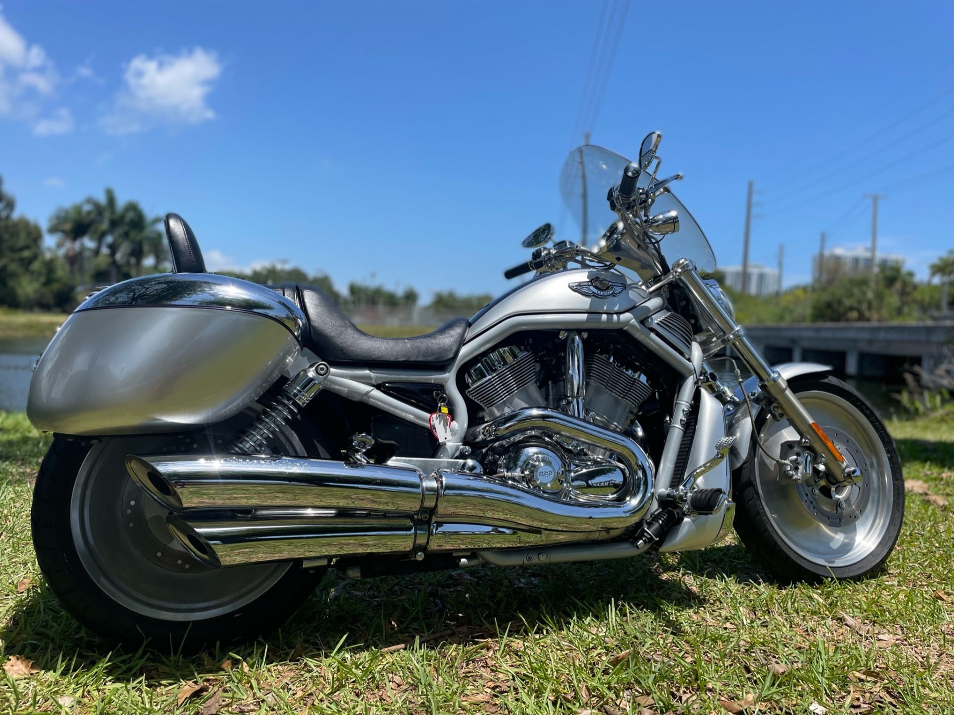2003 Harley-Davidson VRSCA  V-Rod® in North Miami Beach, Florida - Photo 3