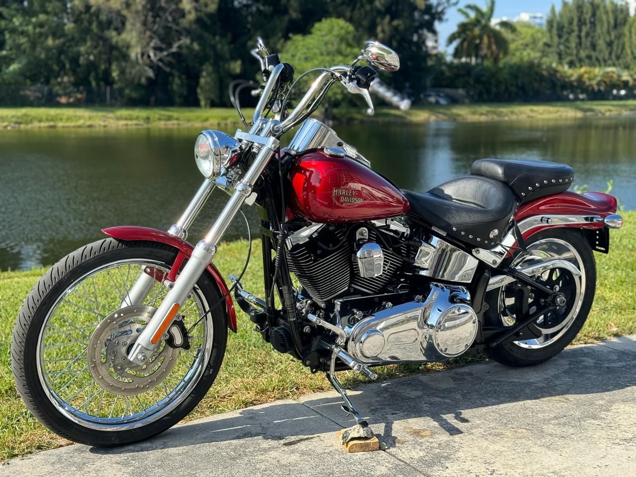 2008 Harley-Davidson Softail® Custom in North Miami Beach, Florida - Photo 14