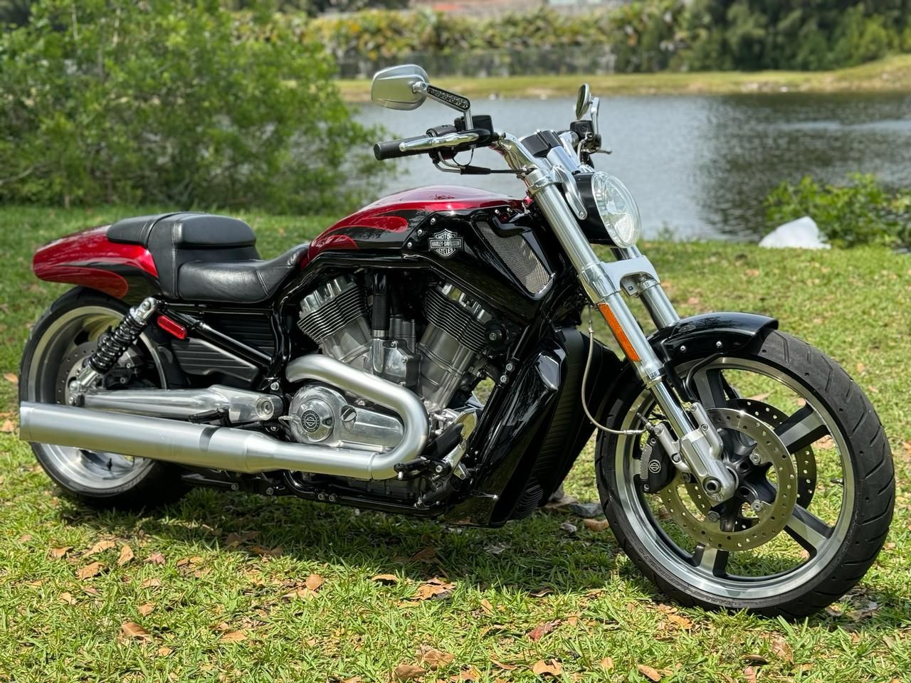 2016 Harley-Davidson V-Rod Muscle® in North Miami Beach, Florida - Photo 1