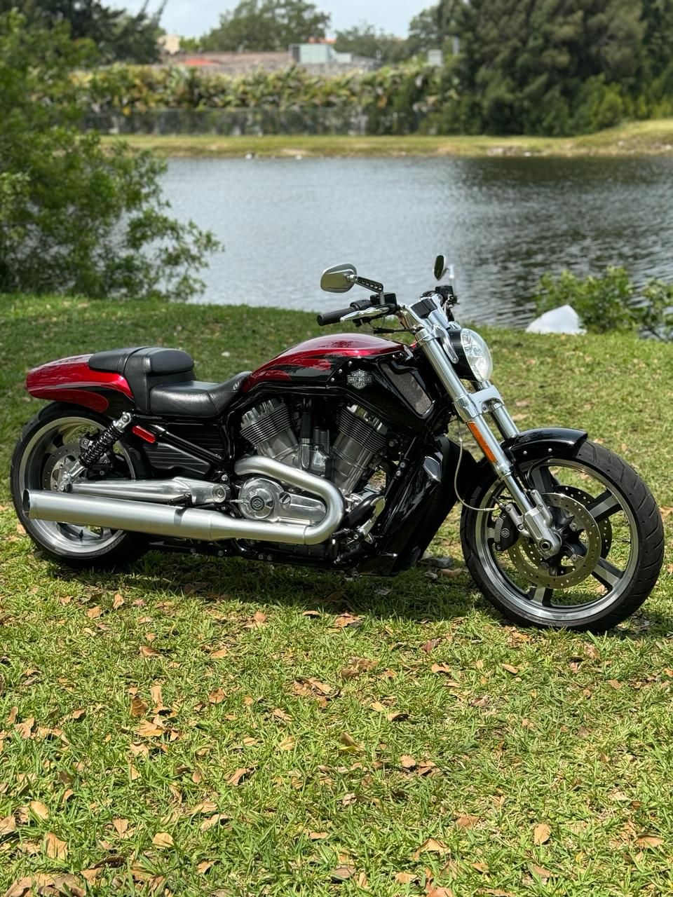 2016 Harley-Davidson V-Rod Muscle® in North Miami Beach, Florida - Photo 2