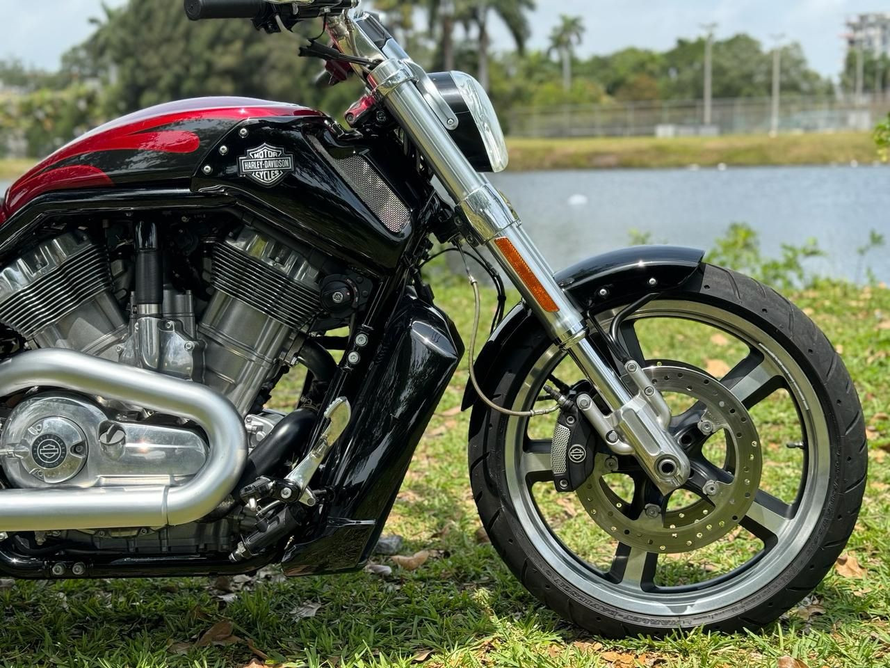 2016 Harley-Davidson V-Rod Muscle® in North Miami Beach, Florida - Photo 6
