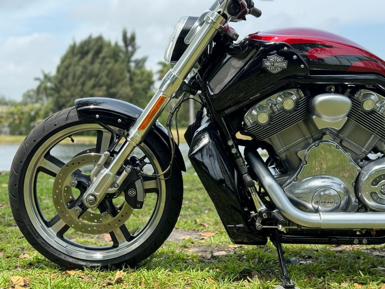 2016 Harley-Davidson V-Rod Muscle® in North Miami Beach, Florida - Photo 11