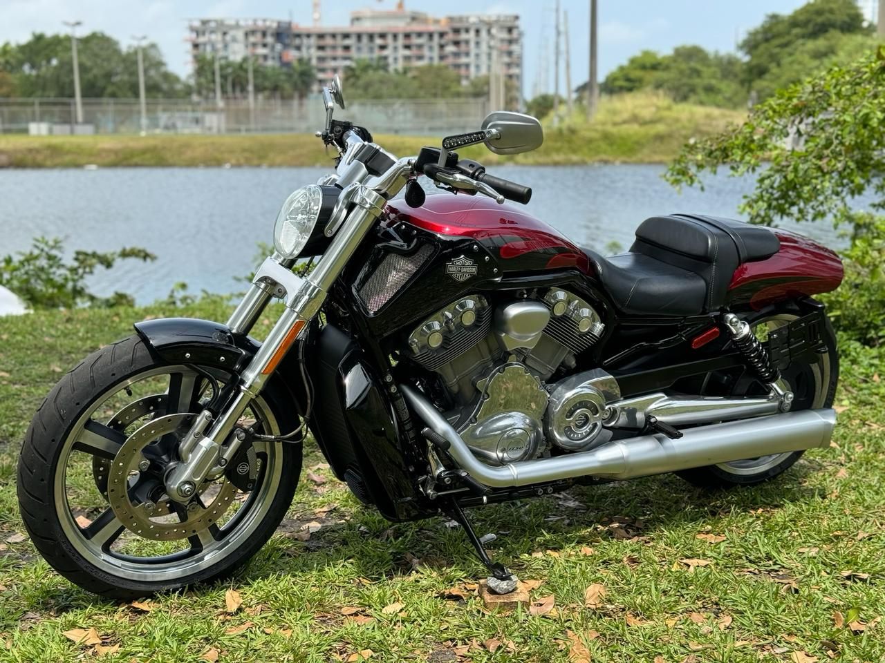 2016 Harley-Davidson V-Rod Muscle® in North Miami Beach, Florida - Photo 13