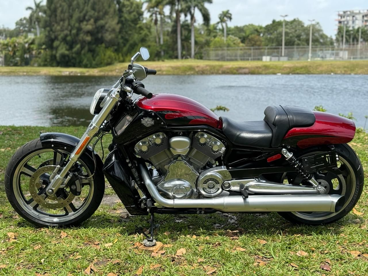 2016 Harley-Davidson V-Rod Muscle® in North Miami Beach, Florida - Photo 14