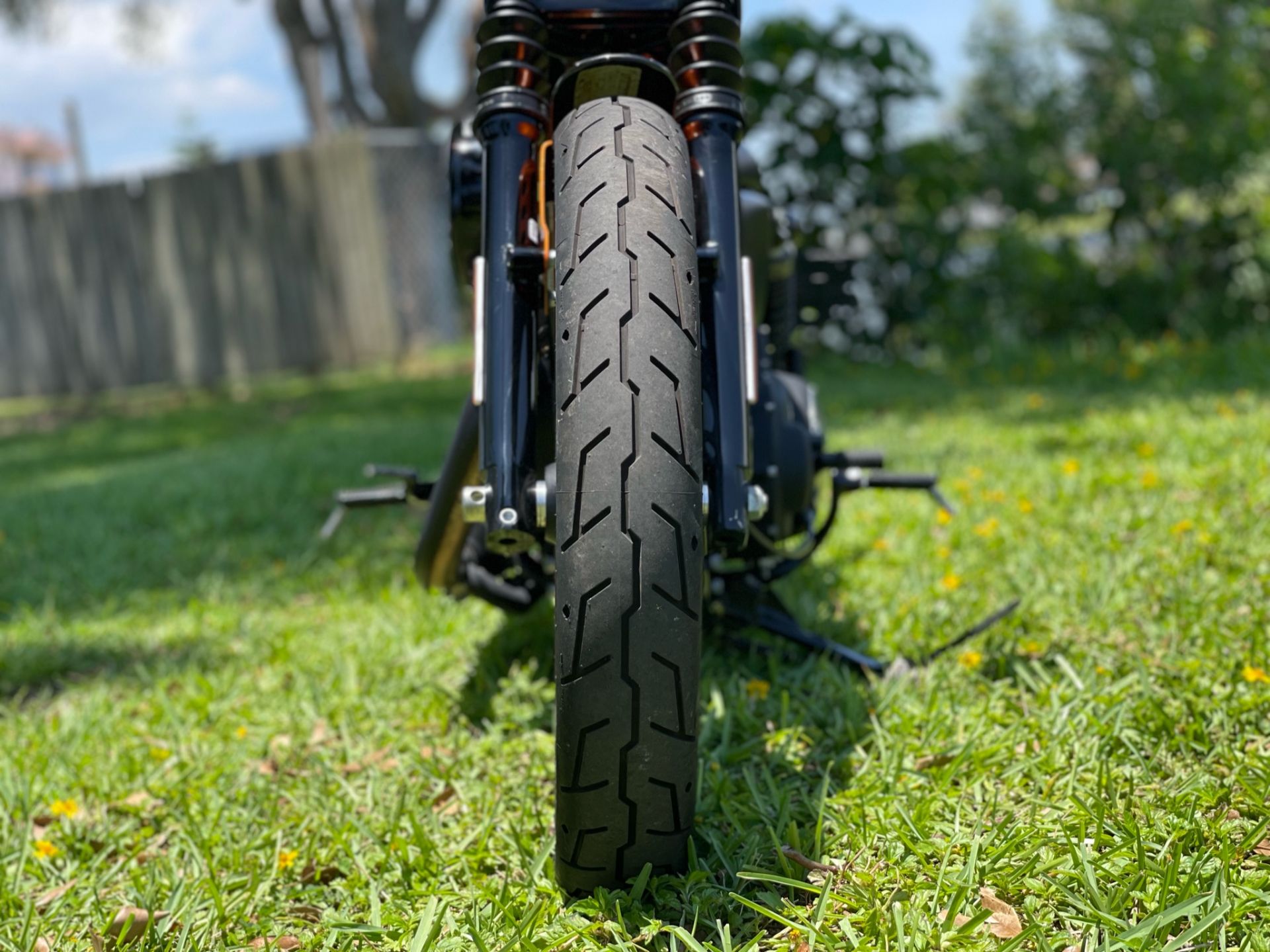 2020 Harley-Davidson Iron 883™ in North Miami Beach, Florida - Photo 7