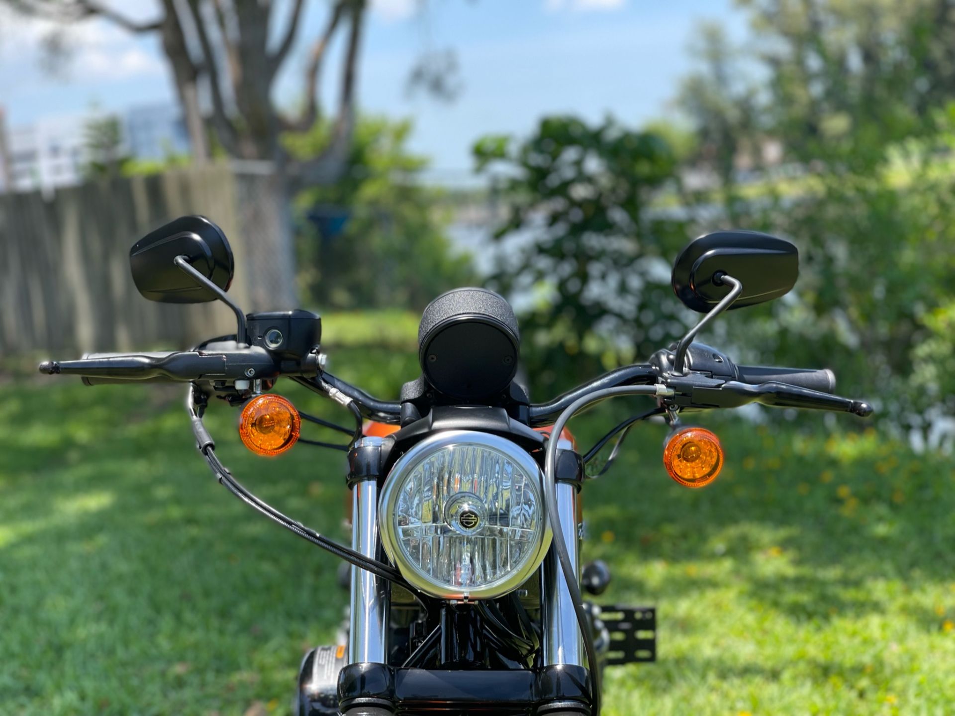 2020 Harley-Davidson Iron 883™ in North Miami Beach, Florida - Photo 8