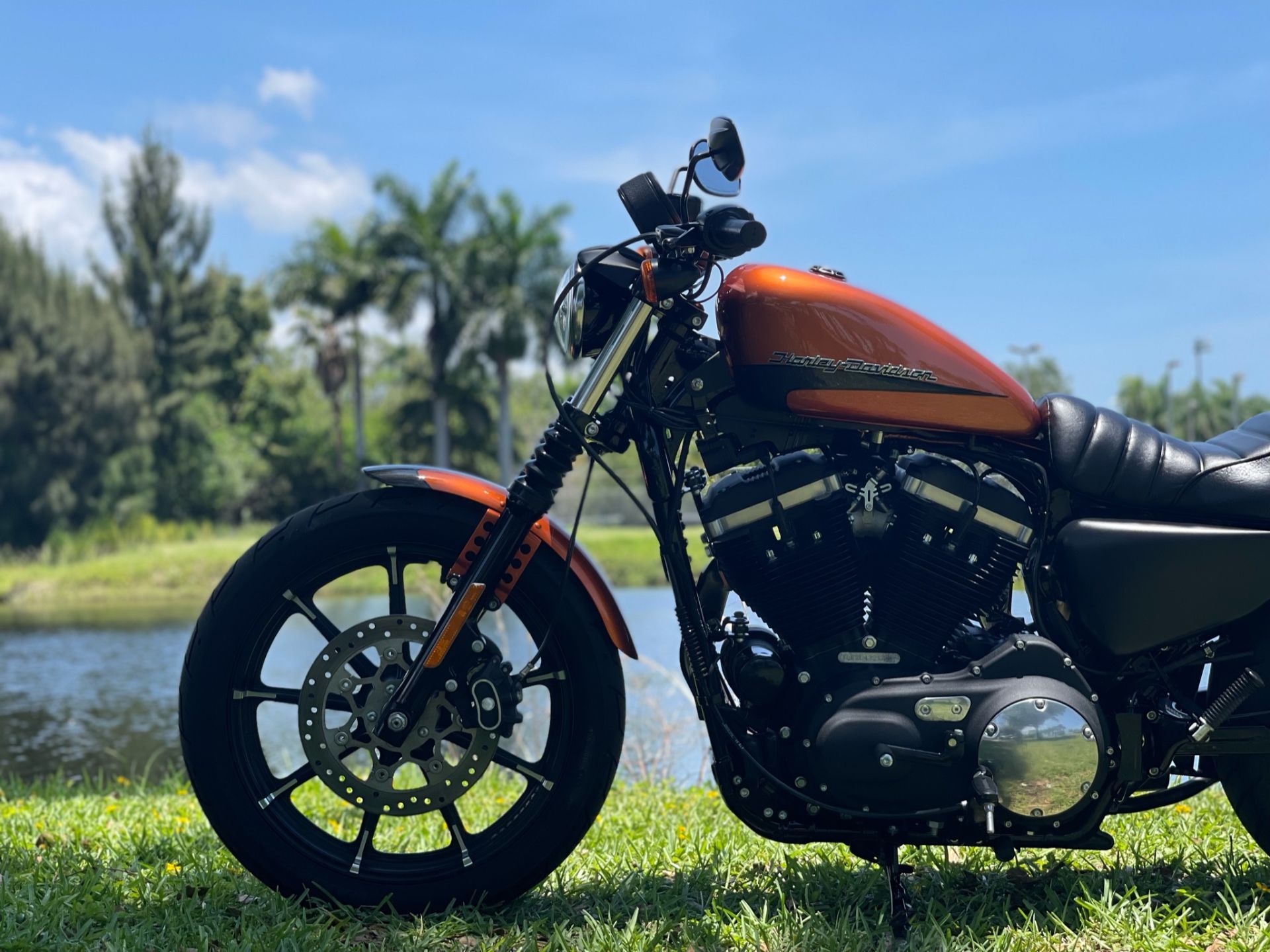 2020 Harley-Davidson Iron 883™ in North Miami Beach, Florida - Photo 20