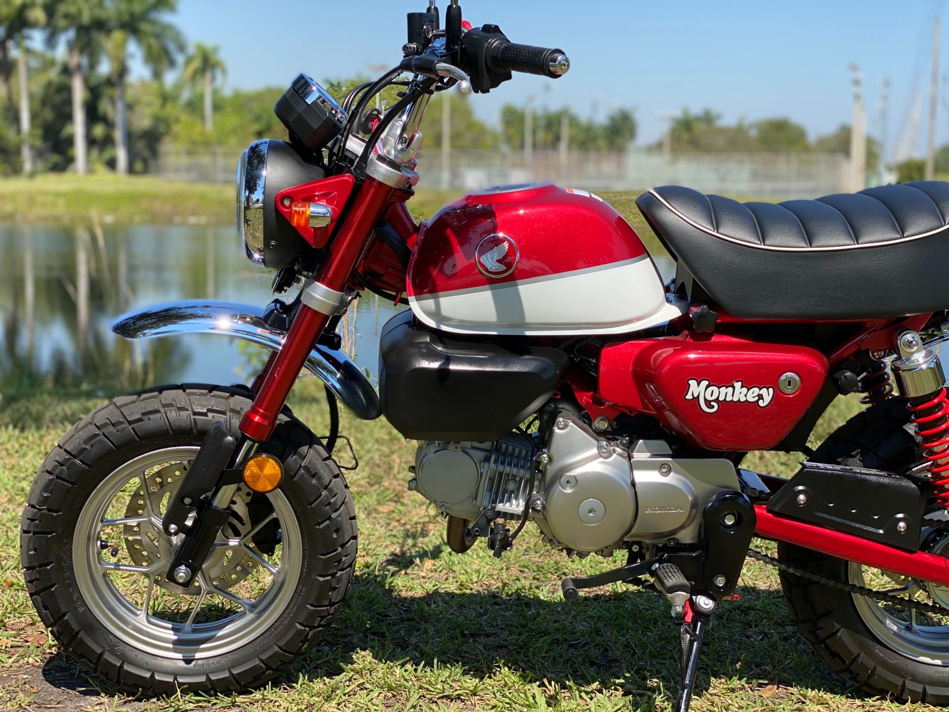 2019 Honda Monkey in North Miami Beach, Florida - Photo 20
