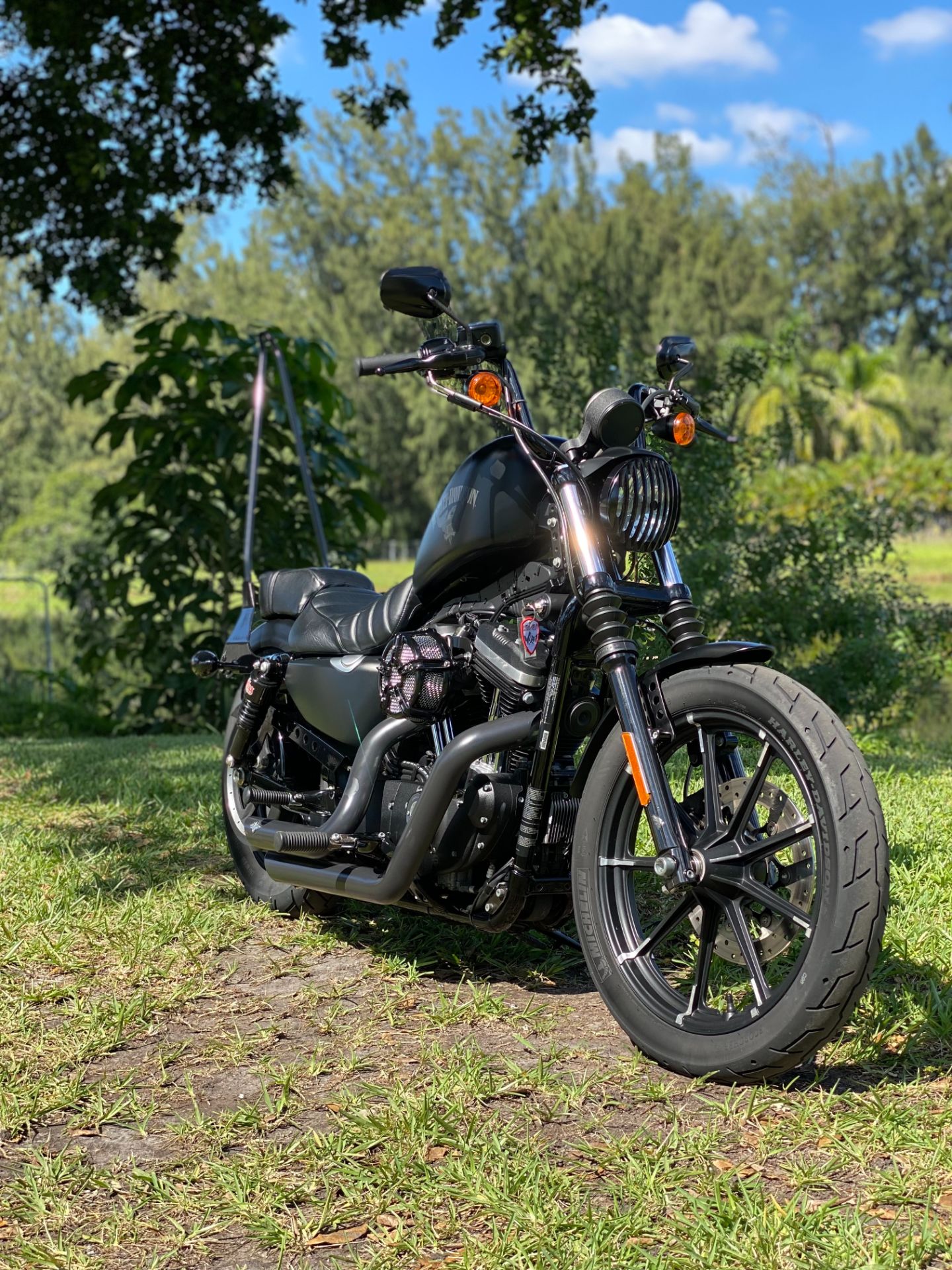 2016 Harley-Davidson Iron 883™ in North Miami Beach, Florida - Photo 3