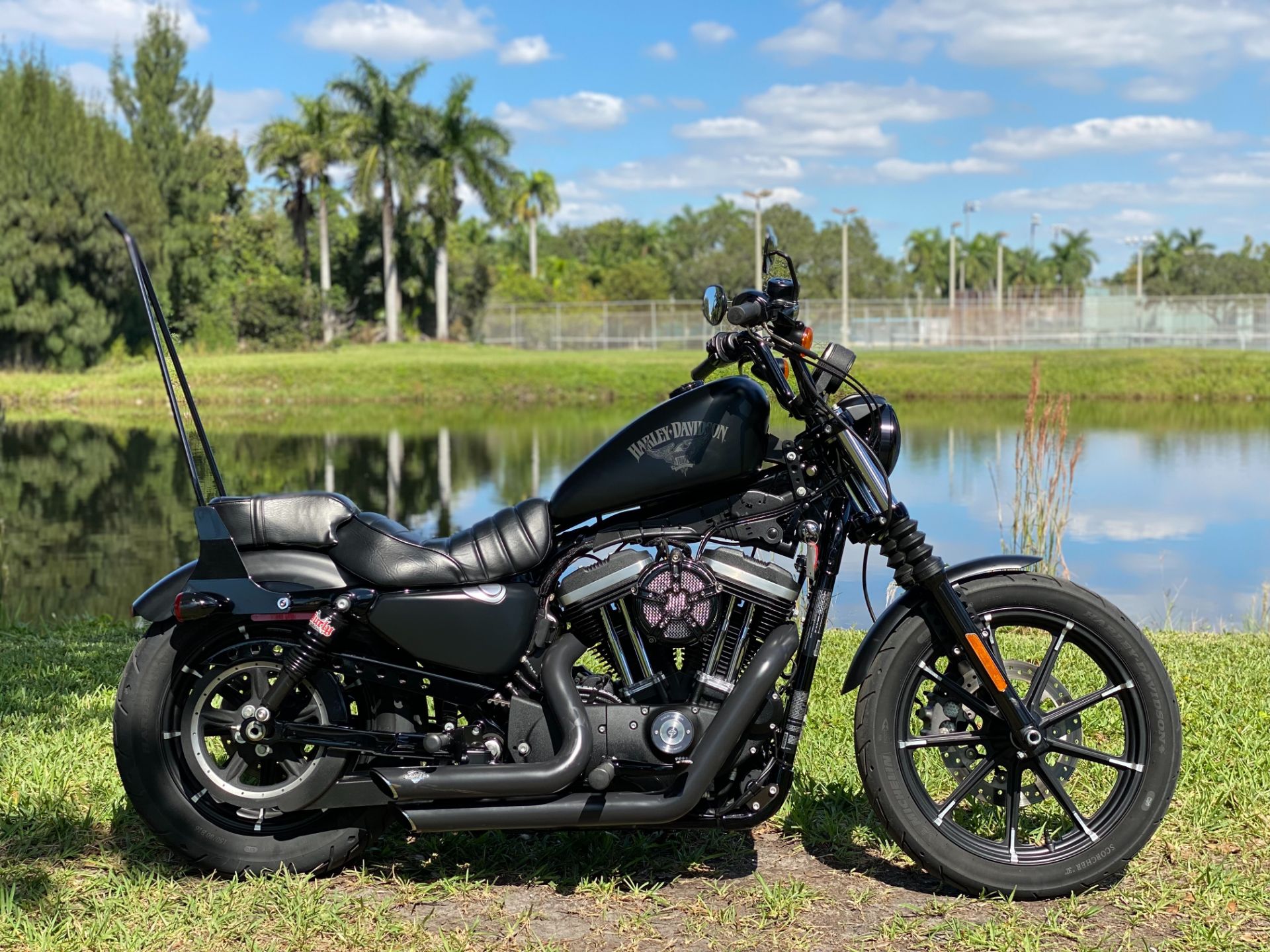 2016 Harley-Davidson Iron 883™ in North Miami Beach, Florida - Photo 1