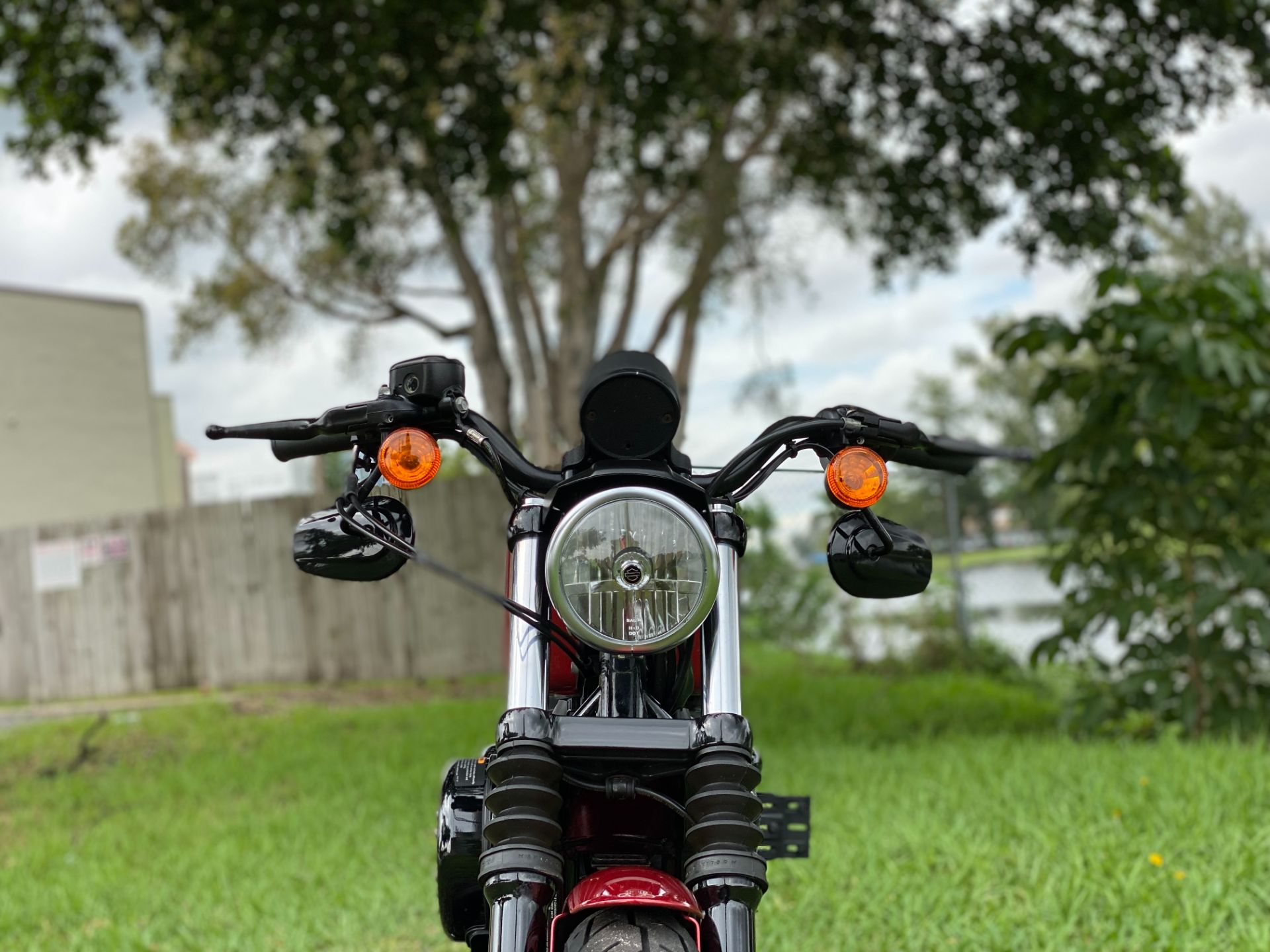 2019 Harley-Davidson Iron 883™ in North Miami Beach, Florida - Photo 9