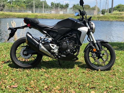2019 Honda CB300R in North Miami Beach, Florida - Photo 3