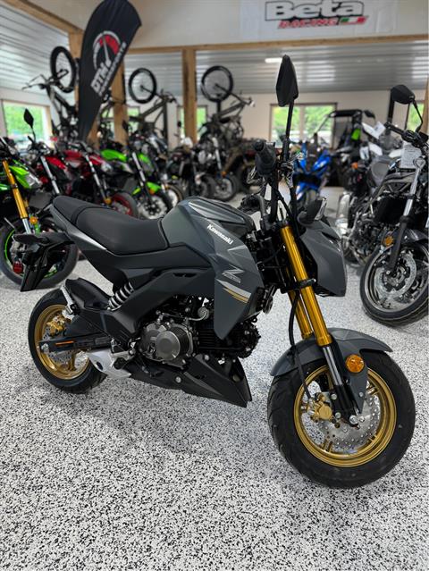 2024 Kawasaki Z125 Pro in Newfield, New Jersey - Photo 2