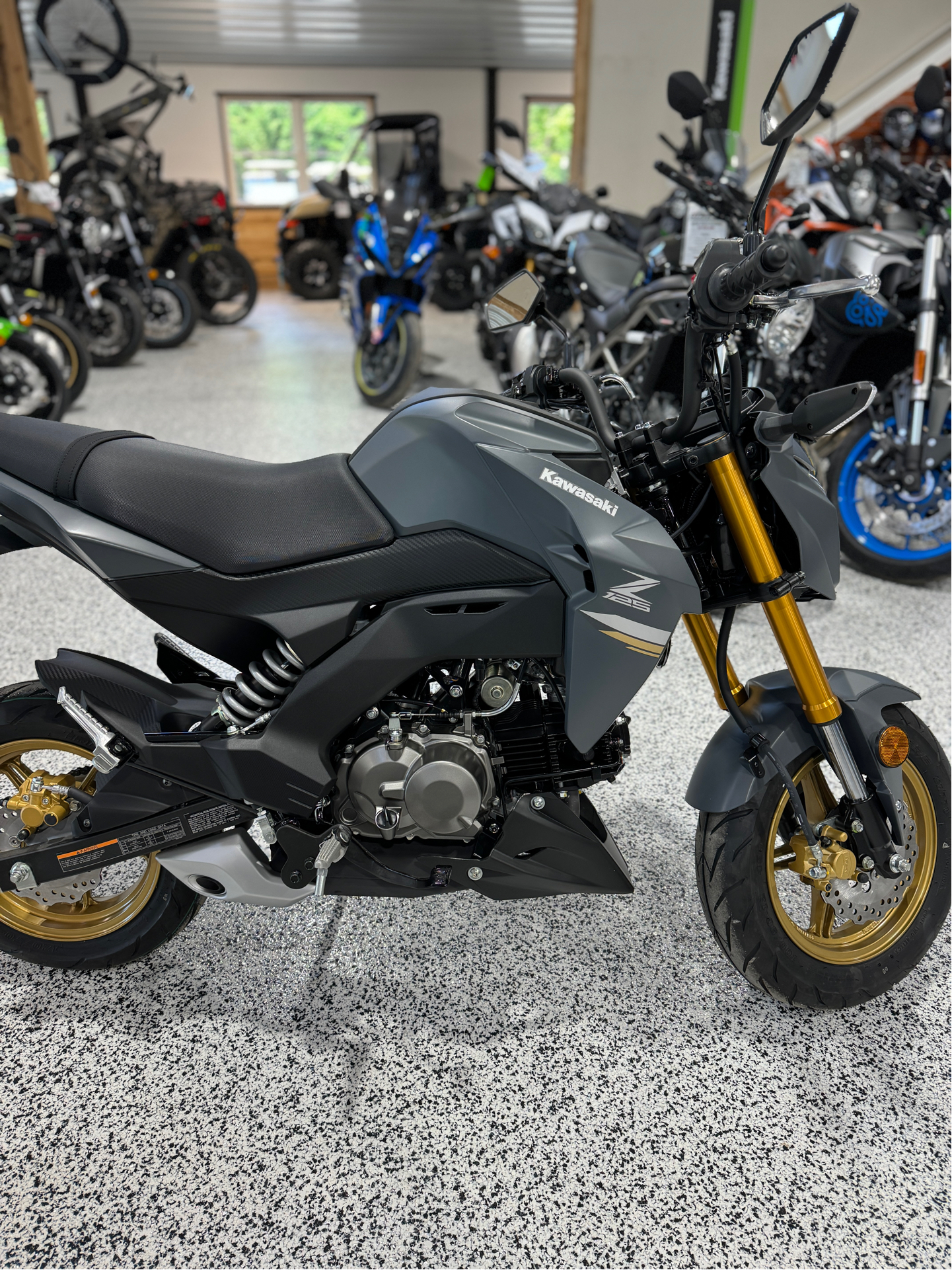 2024 Kawasaki Z125 Pro in Newfield, New Jersey - Photo 3